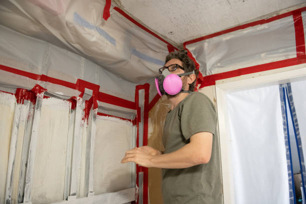 Best Real Estate Mold Inspection  in Kingston, PA